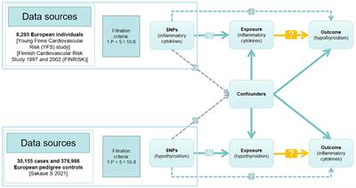 The causal relationship between 41 inflammatory cytokines and hypothyroidism: bidirectional two-sample Mendelian randomization study